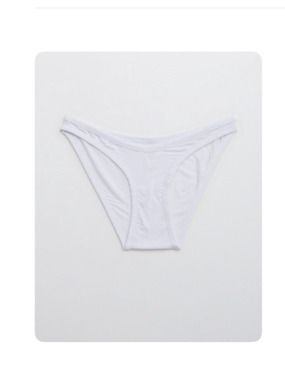 NWT Aerie Superchill Modal Rib Bikini Panty